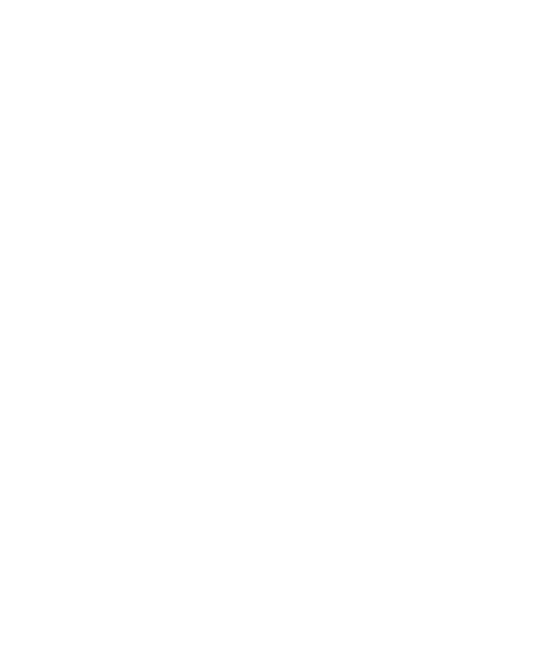 FP Mangimi